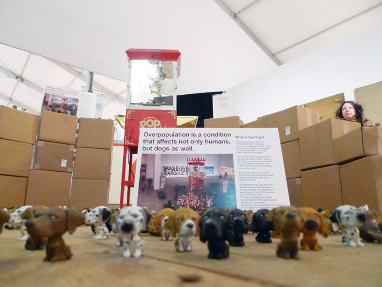 popdogs queensmuseum. Carlo Sampietro