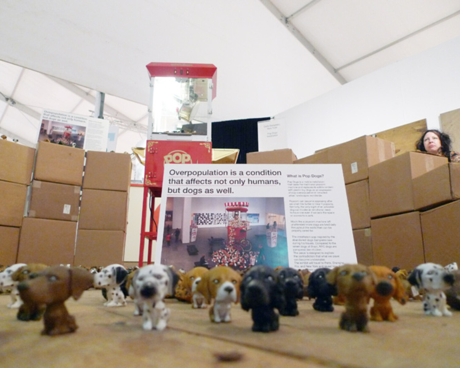 popdogs queensmuseum. Carlo Sampietro