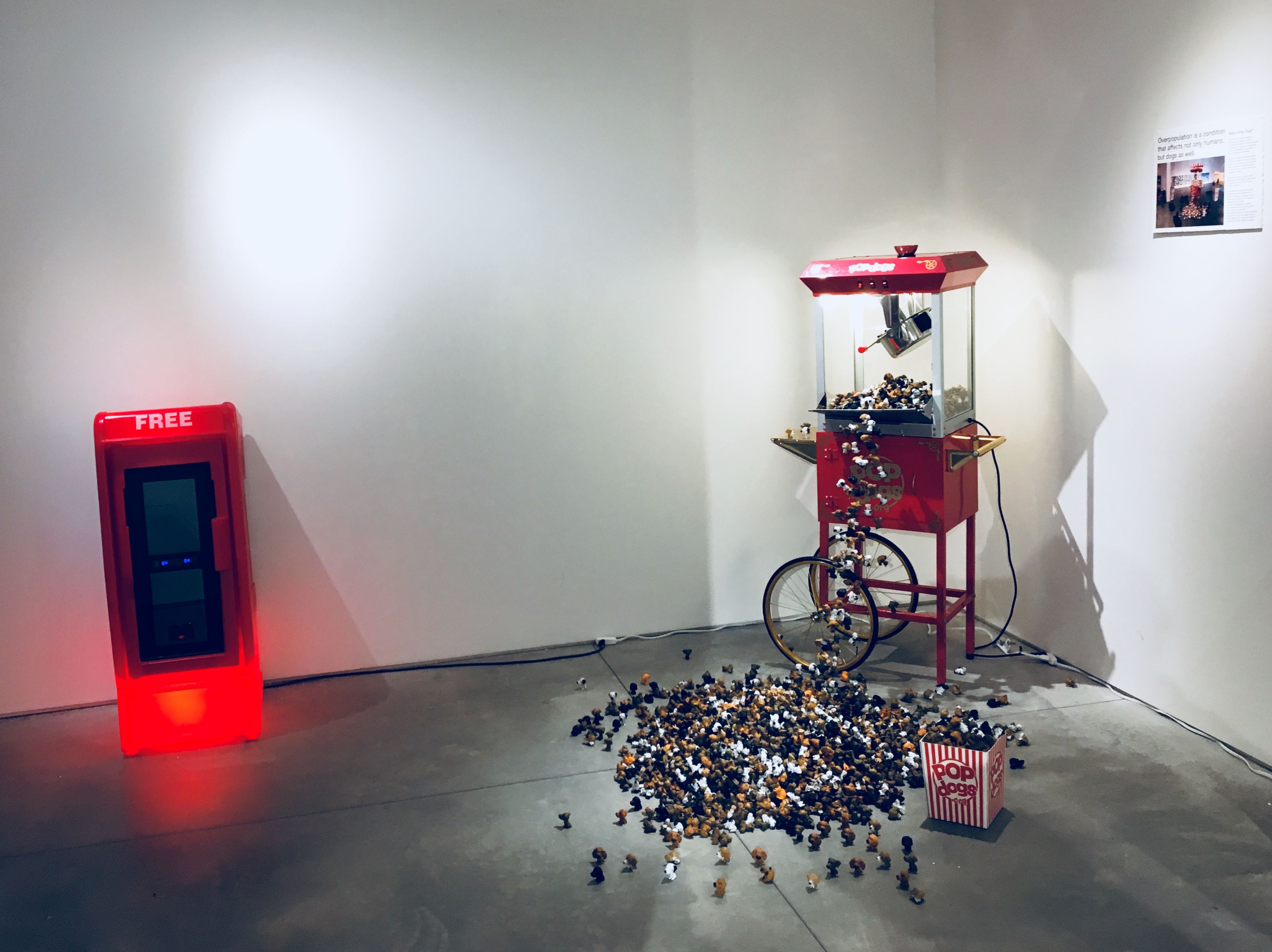 a machine with a bike and popcorn scattered on the floor. Carlo Sampietro