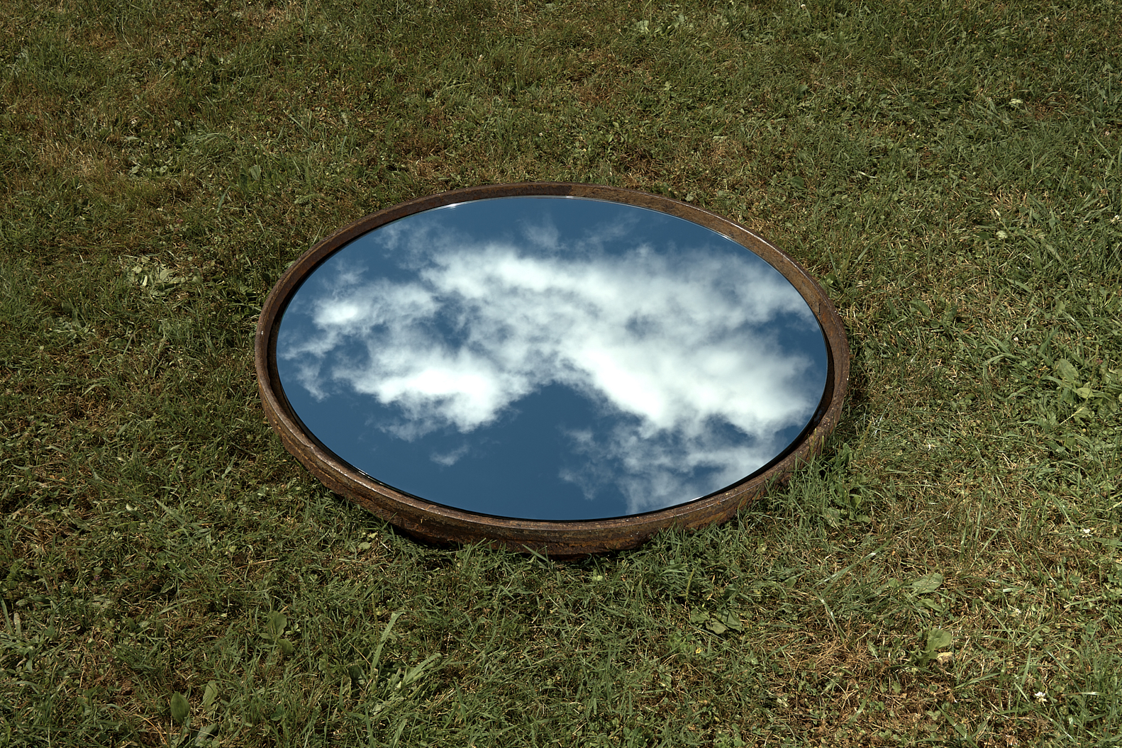 a mirror on the grass.